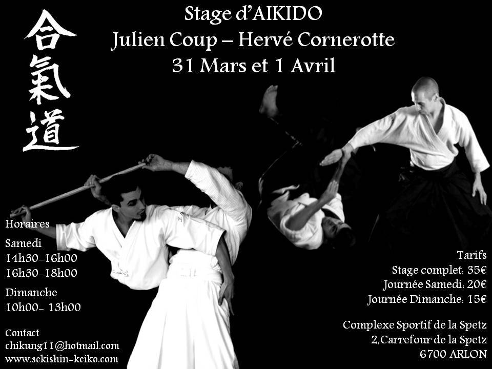 Stage aikido